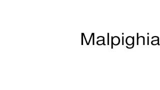 How to pronounce Malpighian [upl. by Shanahan4]