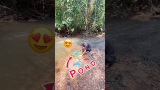 Nadi pe bnya natural pond😍bhot sare shrimps🦞crabs🦀fish🐠🐡release kyeshortsfeedshortsminivlog [upl. by Aneleh]