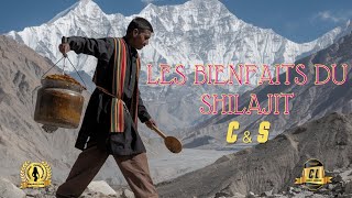 Les Bienfaits du Shilajit [upl. by De Witt]