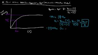 Enzymes  Michaelis Menten Model  A Few More Details [upl. by Porett]