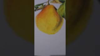 Dibujo con tizas pastel art fabercastell drawing [upl. by Jeremy253]