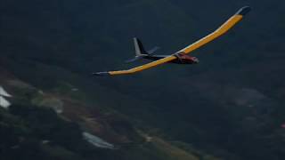 Learning to fly RC Sailplanes [upl. by Graces917]