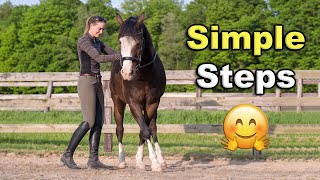 IN HAND WORK WITH HORSES  3 EXERCISES 🐴 [upl. by Delinda]