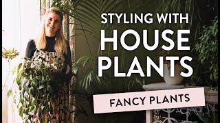 SECRETS TO CARING FOR YOUR HOUSEPLANTS  Insider tips from Fancy Plants [upl. by Enilec]