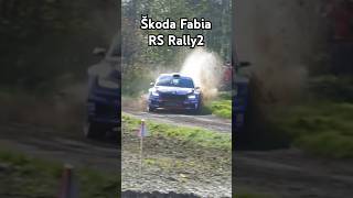 Skoda Fabia RS Rally2 Small Mistake [upl. by Nisior]