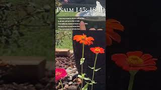 Christian ASMR  Verse a Day Psalm 145 1819 [upl. by Ojadnama]