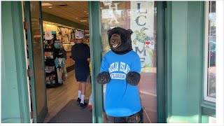 Awesome country store in Amelia Island Fernandina called Cinnamon Bear [upl. by Ioyal713]