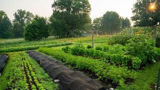 Regenerative Agriculture on a Small Scale  What it Looks Like [upl. by Legnaros165]