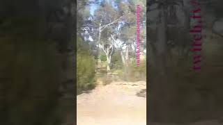 VLINE Albury NSW To Southern Cross 101024 vline shorts shortvideo train travel views [upl. by Dolora]