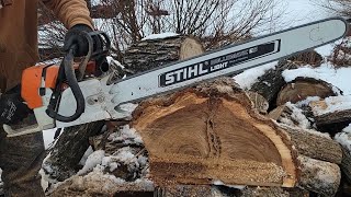 Ported Stihl Ms460 first cuts [upl. by Inatsed]