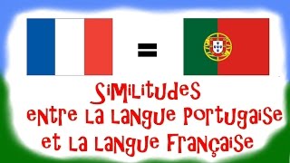 Cours de Portugais  Vidéo 3  Similitudes entre la langue portugaise et la langue française [upl. by Penthea881]