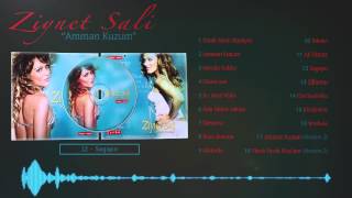 Ziynet Sali  Sagapo  Official Lyric Video [upl. by Acim201]