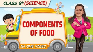 Components of Food  Full Chapter in 1 Video  Class 6th Science  Champs Batch [upl. by Gnihc]