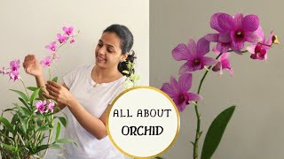 How to care for an Orchid Plant Indoors  Easy Orchid Care Tips for Beginners  Garden Vibes [upl. by Atnoek]