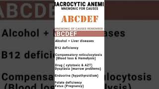 Macrocytic Anaemia science humanbody [upl. by Kondon]