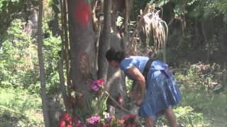 La virgen De Guadalupe Se Apareció En Un Árbol entre El Salvador y Guatemala [upl. by Rudolfo]