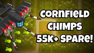 The Absolute Easiest Cornfield CHIMPS Black Border Guide  Version 453 [upl. by Nnaeiram440]