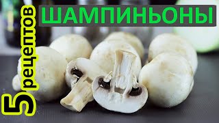 Для любителей шампиньонов  5 Крутых рецептов Рецепты с шампиньонами [upl. by Henry898]