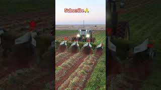 Best Agreecalture Farming Equipment 👌shorts farming agreeculture trending viralvideo farmer 👌👍 [upl. by Jeffery]