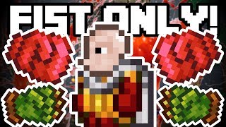 USING ONLY OUR FISTS  Terraria 135 Mods  Fists Only  Ep1 [upl. by Rebhun830]