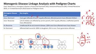 Monogenic Disease Linkage Analysis with Pedigree Charts [upl. by Ehrenberg27]