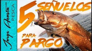 5 Señuelos para pescar PARGO  2019 [upl. by Clevie]