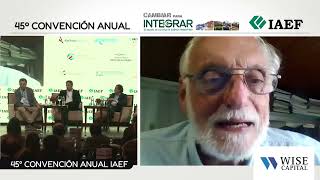 45° Convención Anual del IAEF  Coyuntura económica [upl. by Gerrie245]