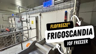 Frigoscandia FLoFREEZE® IQF Freezer [upl. by Kelly104]