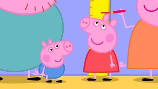 ¿Cuánto mide Peppa  Peppa Pig en Español Episodios Completos [upl. by Atirak114]