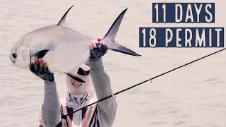 Permit On The Fly  Ascension Bay 2018 [upl. by Mccurdy]