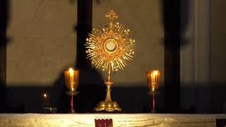 LIVE from Bread of Life Eucharistic Adoration [upl. by Eenttirb]