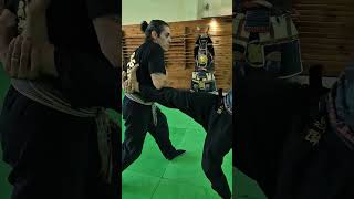 O segredo Ninja revelado🥷🫡 escoladeninjas ninjutsu ninja kotatsudojo bujinkan faixapreta [upl. by Scevour90]