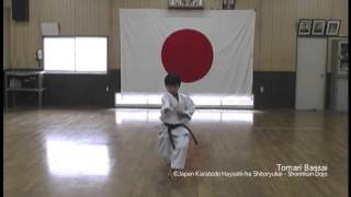 Tomari Bassai  Japan Karatedo Hayashiha Shitoryu [upl. by Ahcas]