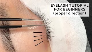 Individual Lashes Tutorial CLOSE UP [upl. by Conny]