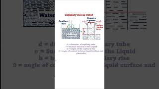 Capillary Rise in Water fluidmechanics physics engineering fluidmechanics [upl. by Norward]