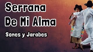 Serrana De Mi Alma ⇛ Sones y Jarabes ⇚ Banda Filarmónica Aires Oaxaqueños [upl. by Notsur]