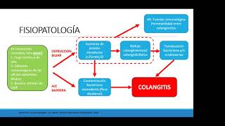 Colangitis Aguda [upl. by Reggy686]