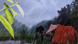 ⛺HEAVY RAIN CAMPING ⛈️ CALMING RAIN SOUNDS IN LONG HEAVY RAIN CAMPING  ASMR [upl. by Akired]