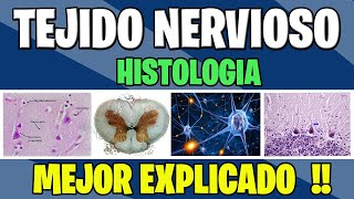 TEJIDO NERVIOSO COMPLETO  Histologia [upl. by Anak]