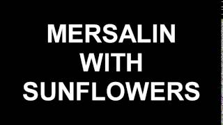 MERSALIN WITH SUNFLOWERS [upl. by Saturday]