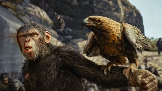 Kingdom of the Planet of the Apes Last Fight Eagle Attack  MOVIE CLIP [upl. by Anahsek]