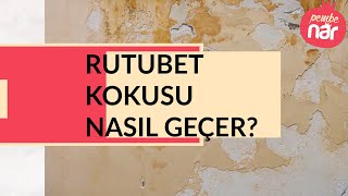 Rutubet kokusunu ne giderir [upl. by Ahsiym]