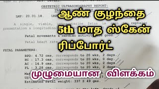 5th month Anamoly scan report for boy in tamilDetailed explanation in tamil boybaby 5thmonth [upl. by Yzzo]