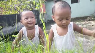 Baby playing with Grass nature babyvideos babylaughing grass nature twins babylullaby [upl. by Onairot]