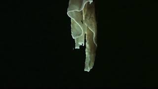 Whats the difference between stalactites and stalagmites [upl. by Hogan]