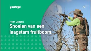 Laagstam fruitbomen snoeien appelboom [upl. by Norrv]