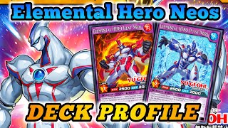 NEW Neos Fusions  Deck Profile  YuGiOh Rush Duel  EDOPRO [upl. by Henri]