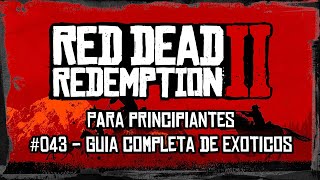 Red Dead Redemption II para principiantes 043  Guía completa de Exóticos [upl. by Llirret977]