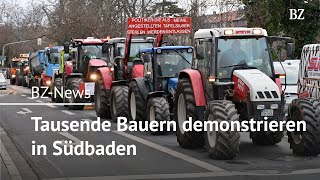 Tausende Bauern demonstrieren in Südbaden [upl. by Amehr361]