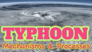 Processes of Typhoon Formation and Mechanisms education4708 typhoon tropicalcyclone [upl. by Hurwitz]